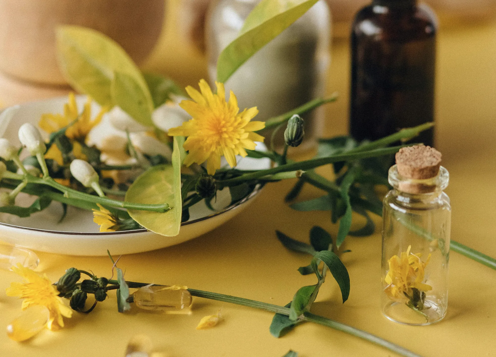 Маслата, които използваме в сапуните и причините да ги изберем